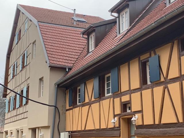 Coeur D'Alsace Colmar Vignobles Ouest Avec Terrasses Villa Wintzenheim Buitenkant foto