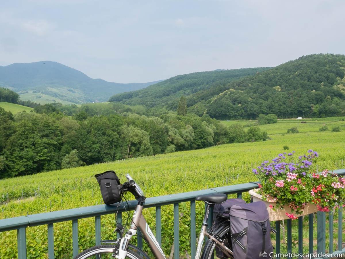 Coeur D'Alsace Colmar Vignobles Ouest Avec Terrasses Villa Wintzenheim Buitenkant foto