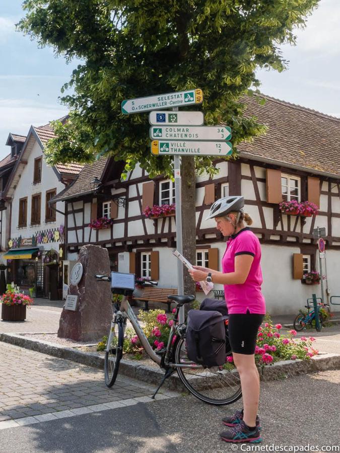 Coeur D'Alsace Colmar Vignobles Ouest Avec Terrasses Villa Wintzenheim Buitenkant foto