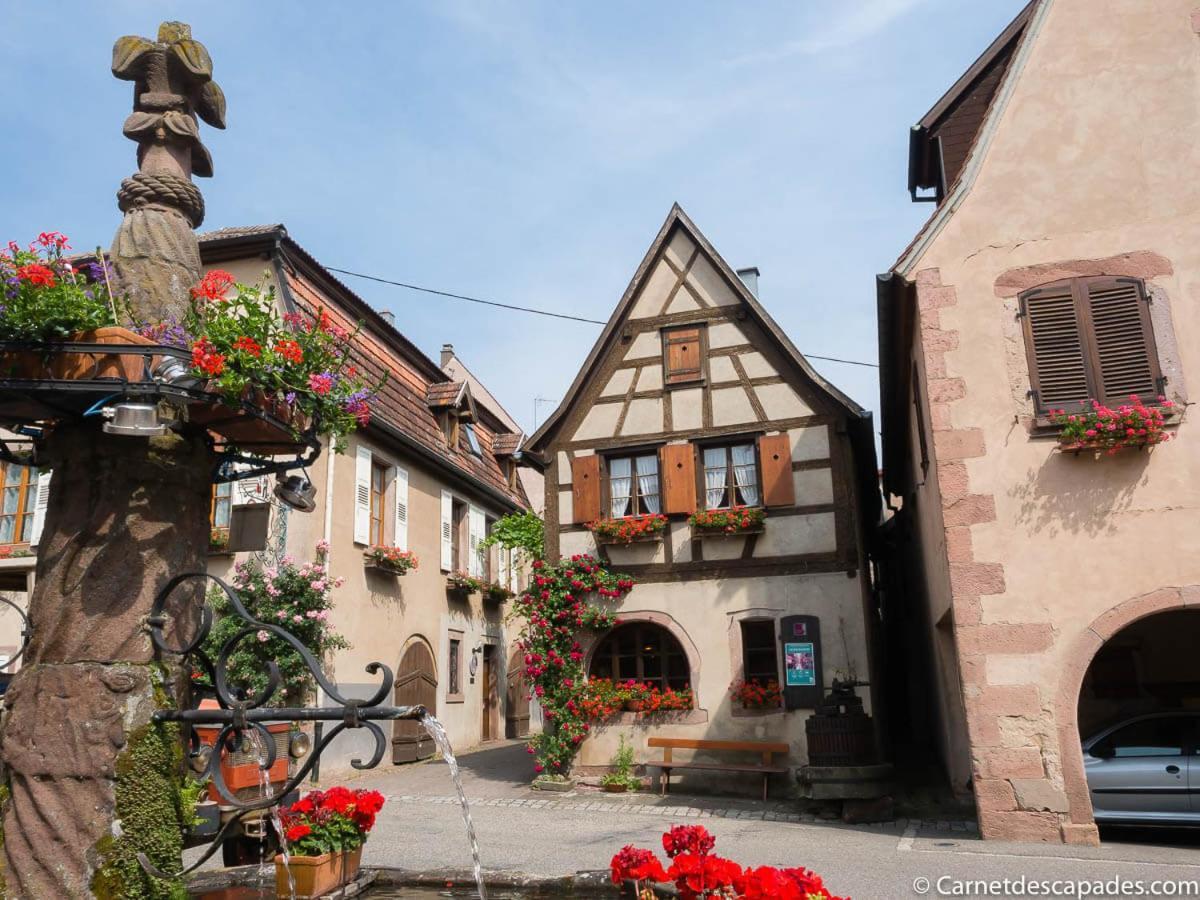 Coeur D'Alsace Colmar Vignobles Ouest Avec Terrasses Villa Wintzenheim Buitenkant foto
