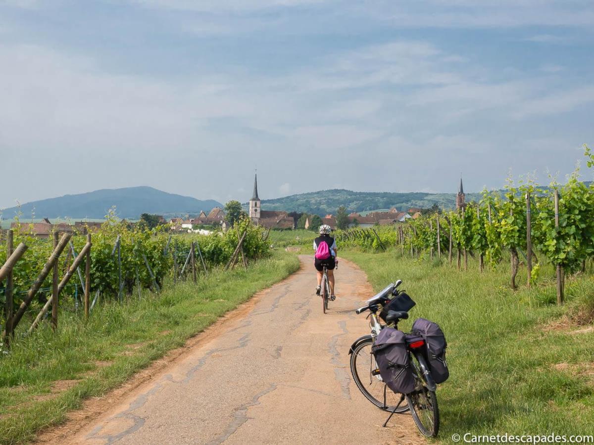 Coeur D'Alsace Colmar Vignobles Ouest Avec Terrasses Villa Wintzenheim Buitenkant foto