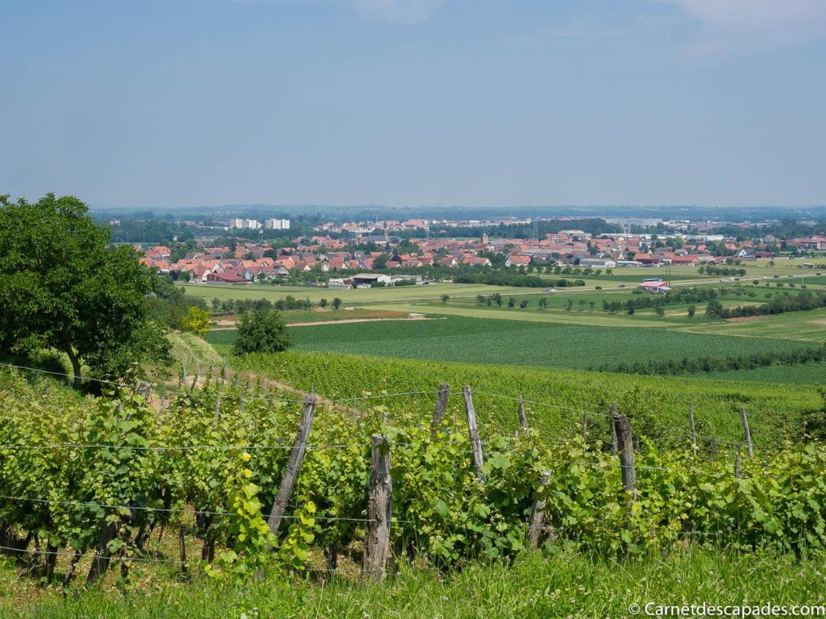 Coeur D'Alsace Colmar Vignobles Ouest Avec Terrasses Villa Wintzenheim Buitenkant foto