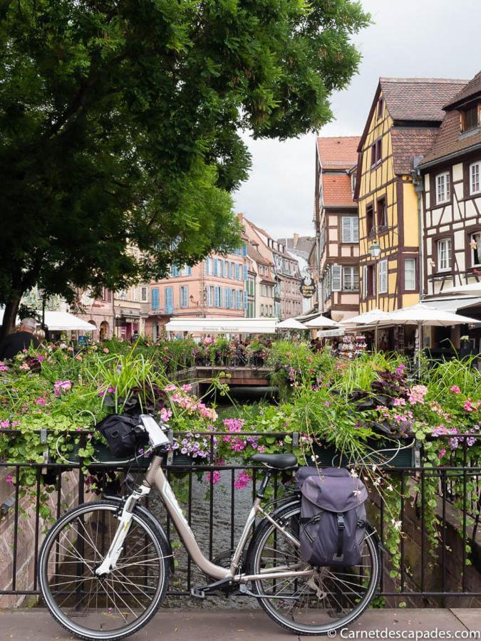 Coeur D'Alsace Colmar Vignobles Ouest Avec Terrasses Villa Wintzenheim Buitenkant foto