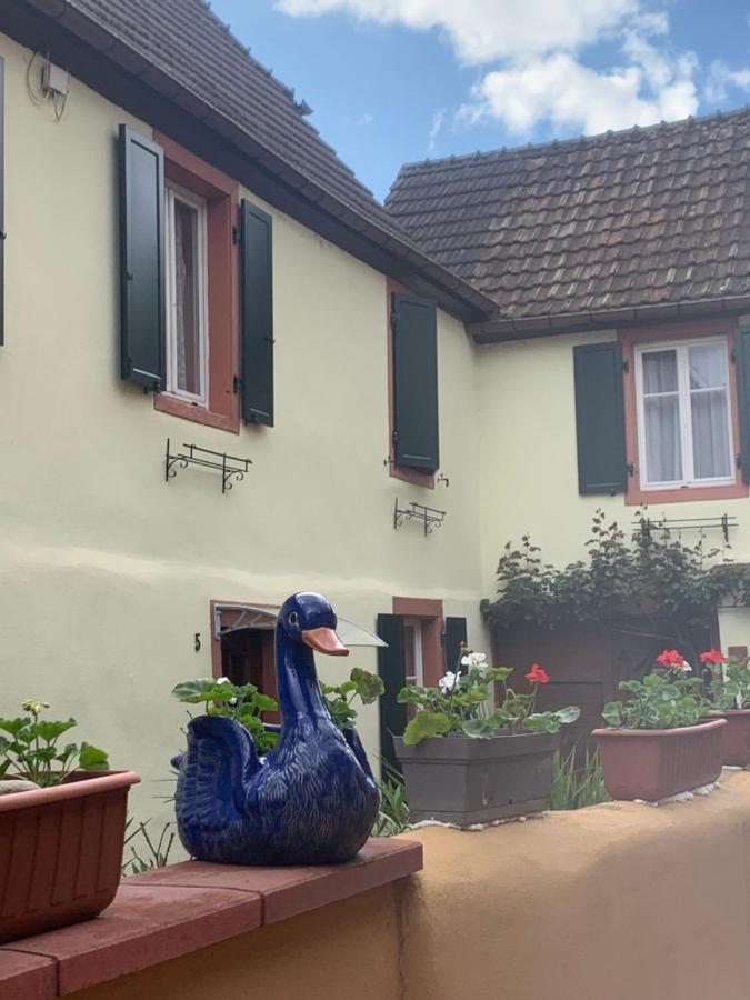 Coeur D'Alsace Colmar Vignobles Ouest Avec Terrasses Villa Wintzenheim Buitenkant foto