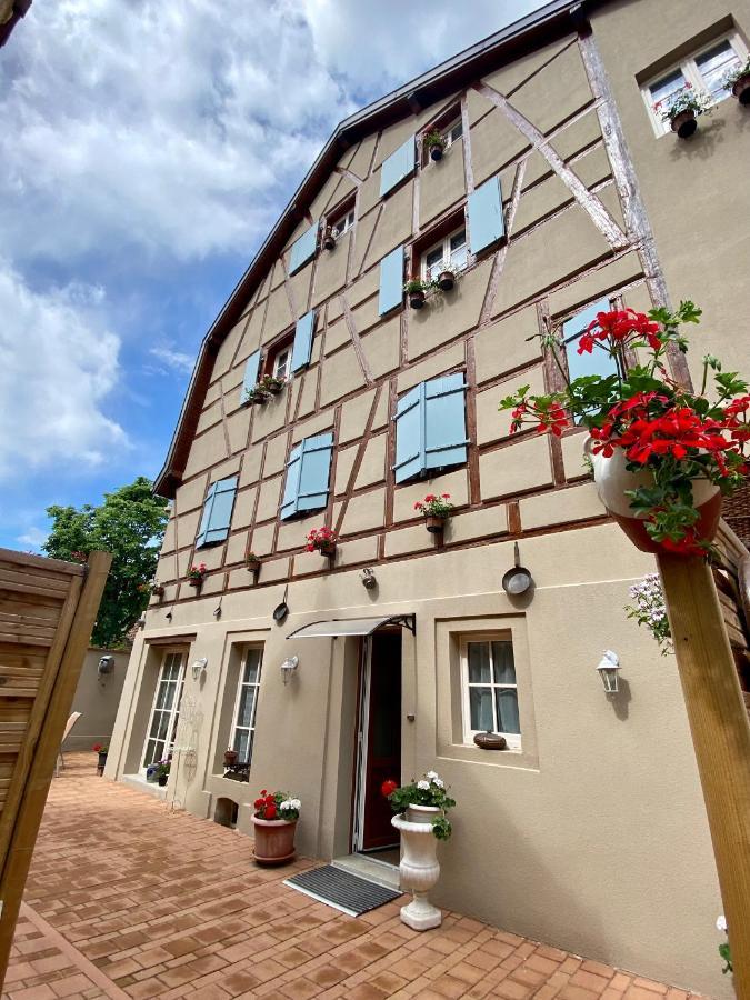 Coeur D'Alsace Colmar Vignobles Ouest Avec Terrasses Villa Wintzenheim Buitenkant foto
