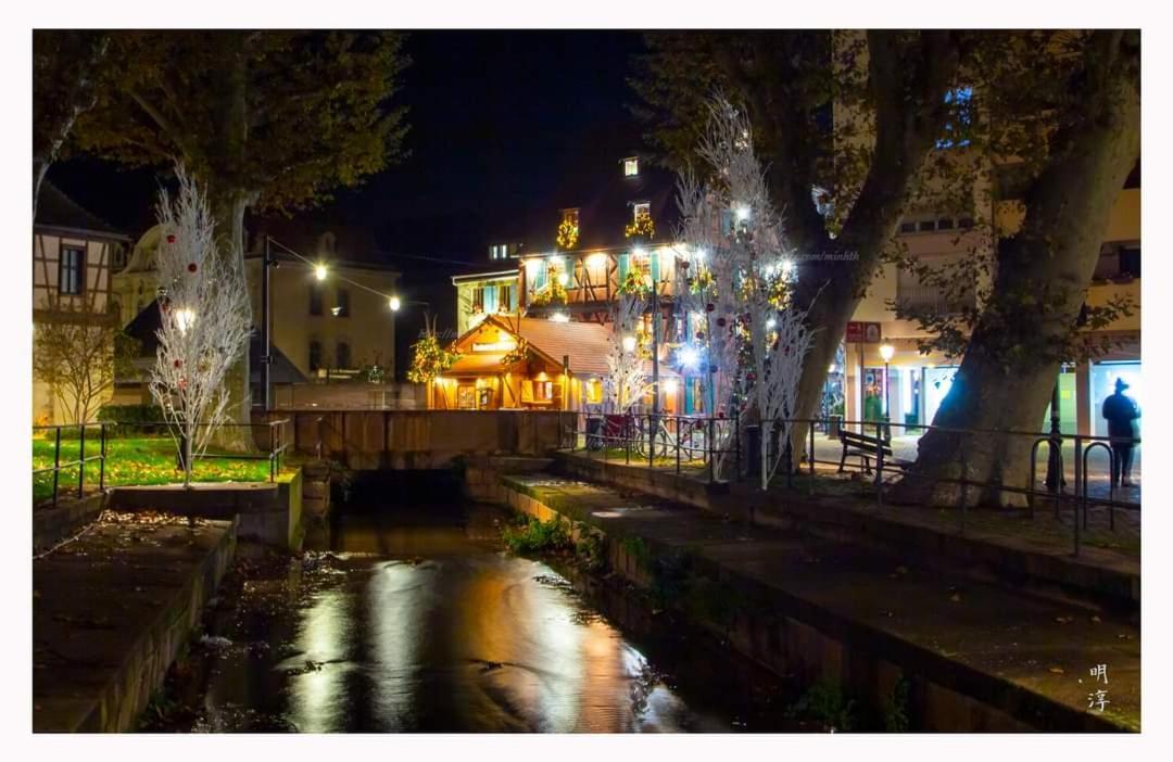 Coeur D'Alsace Colmar Vignobles Ouest Avec Terrasses Villa Wintzenheim Buitenkant foto