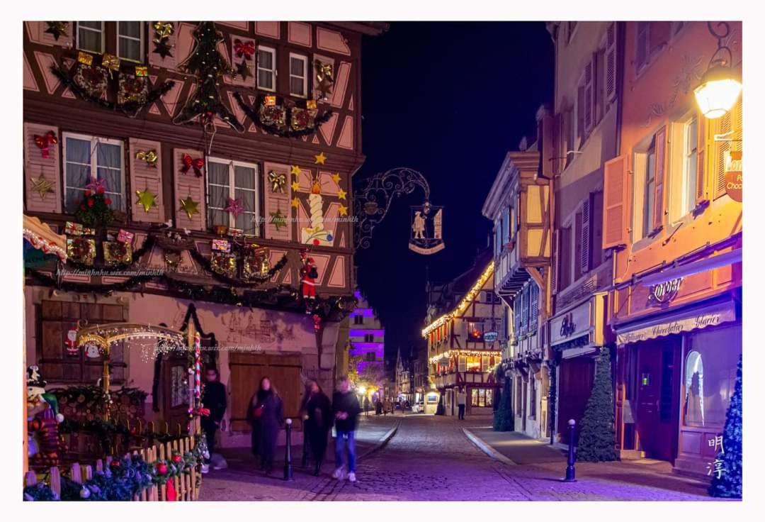 Coeur D'Alsace Colmar Vignobles Ouest Avec Terrasses Villa Wintzenheim Buitenkant foto