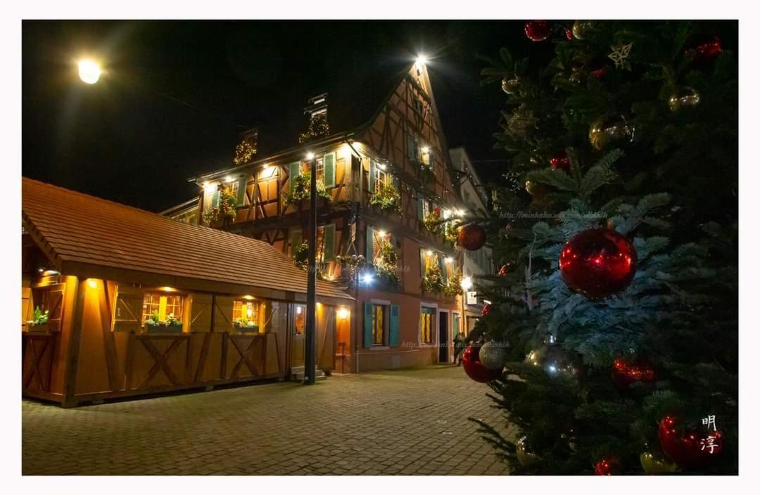 Coeur D'Alsace Colmar Vignobles Ouest Avec Terrasses Villa Wintzenheim Buitenkant foto