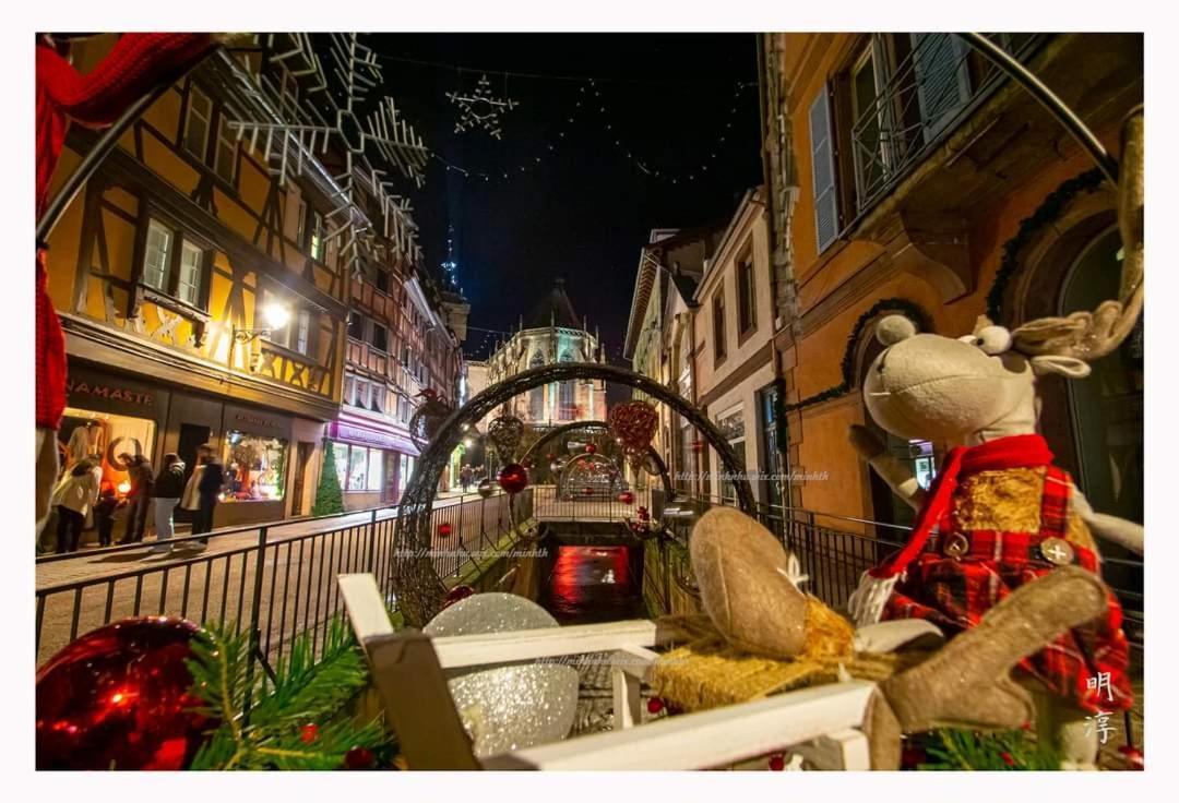 Coeur D'Alsace Colmar Vignobles Ouest Avec Terrasses Villa Wintzenheim Buitenkant foto