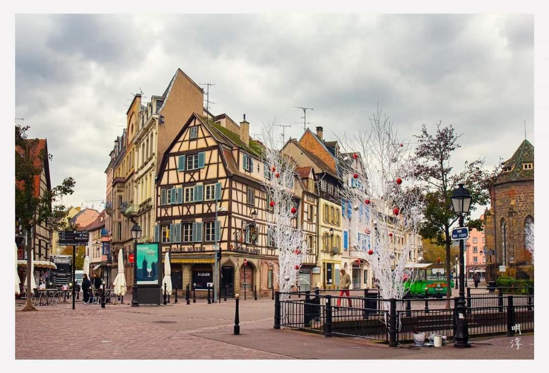 Coeur D'Alsace Colmar Vignobles Ouest Avec Terrasses Villa Wintzenheim Buitenkant foto