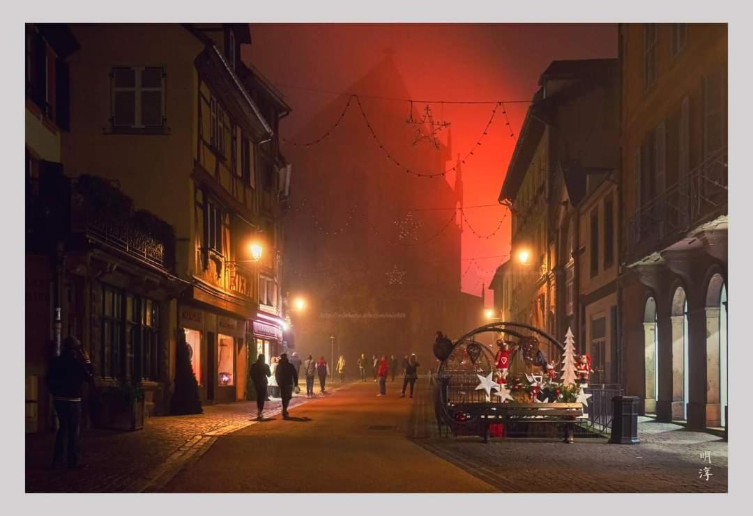 Coeur D'Alsace Colmar Vignobles Ouest Avec Terrasses Villa Wintzenheim Buitenkant foto