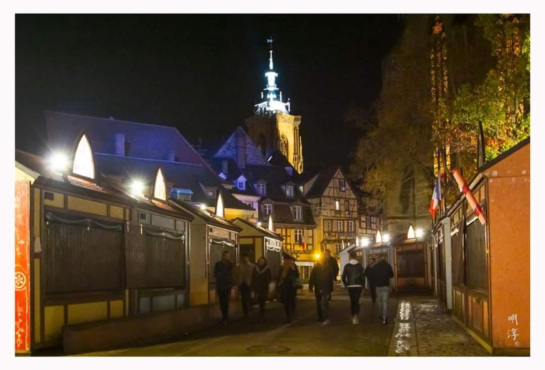 Coeur D'Alsace Colmar Vignobles Ouest Avec Terrasses Villa Wintzenheim Buitenkant foto